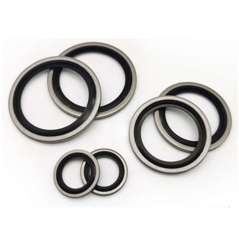 Autocentralizzante acciaio inossidabile 304 Dowty Seal Gasket NBR Rubber Bonded Seal Washer 0