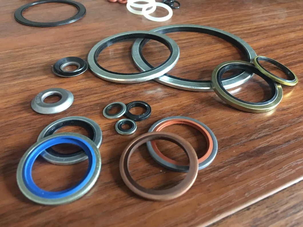 Autocentralizzante acciaio inossidabile 304 Dowty Seal Gasket NBR Rubber Bonded Seal Washer 2