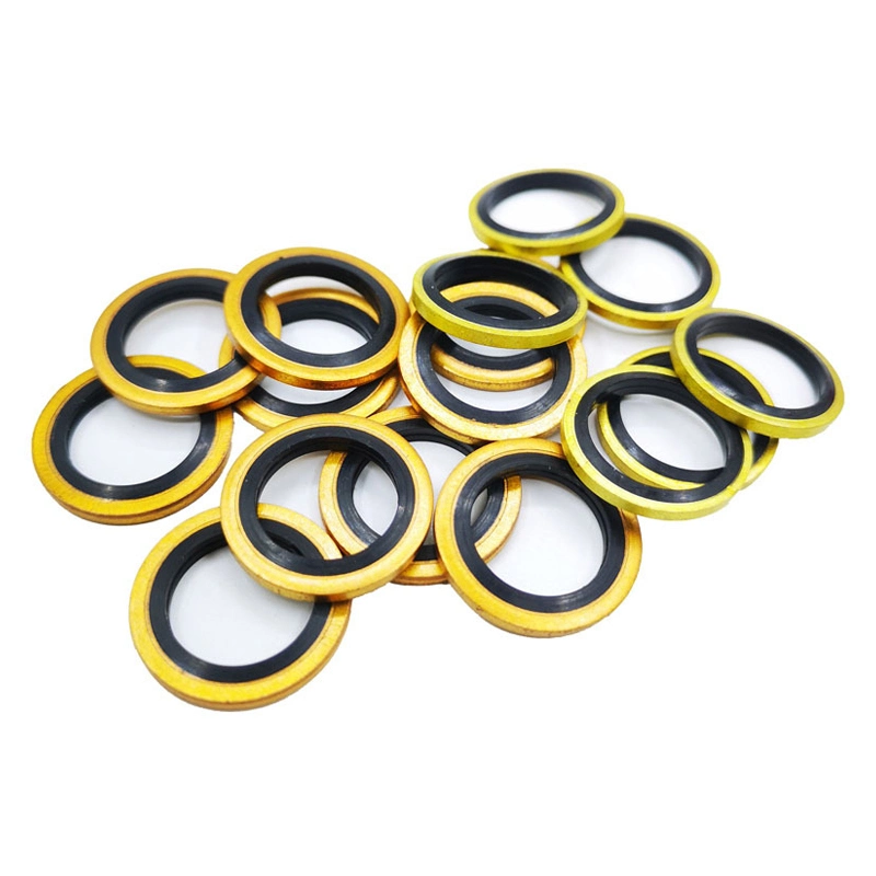 Autocentralizzante acciaio inossidabile 304 Dowty Seal Gasket NBR Rubber Bonded Seal Washer 6