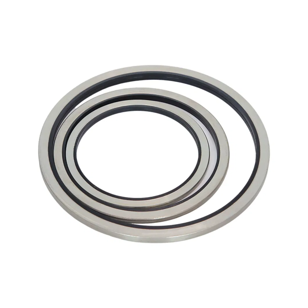 TCN Oil Seal con O-Ring Skeleton Seal e Combination Washer 16