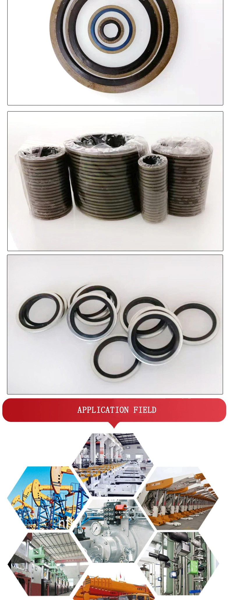 OEM Seal M12 Acciaio al carbonio di gomma nitrile con guarnizione a tenuta 3