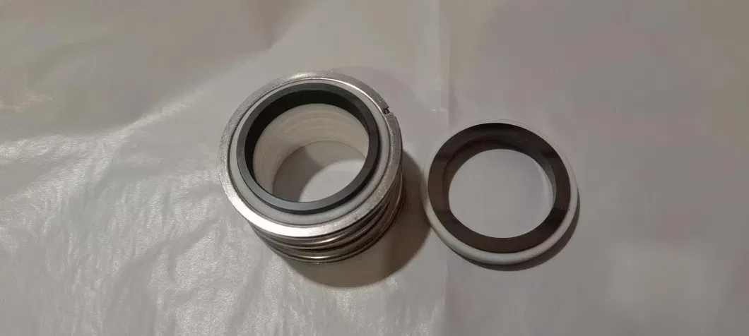 Sigillo di olio a cilindro resistente all'usura e alla corrosione e ad alta temperatura per apparecchi elettrici 1